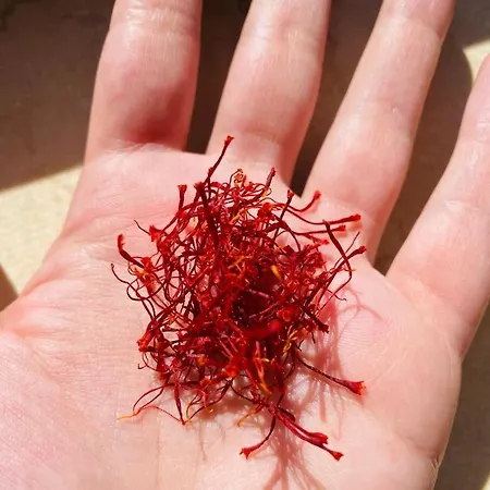 مزرعة للإقامة La Fattoria نورسا