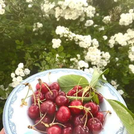 Gospodarstwo agroturystyczne La Fattoria